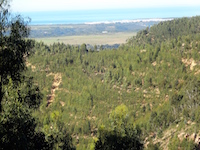 Blick auf die Küste bei Sines