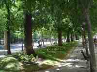 Lissabon, Avenida da Libertade