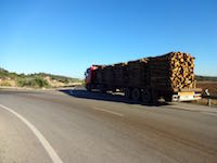 Holzlaster bei Portimao