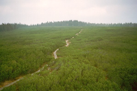 Naturschutzgebiet Lovrenska jezera